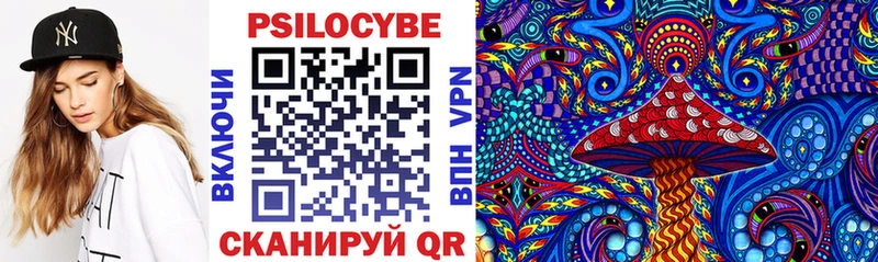 Галлюциногенные грибы Psilocybe  Буинск 